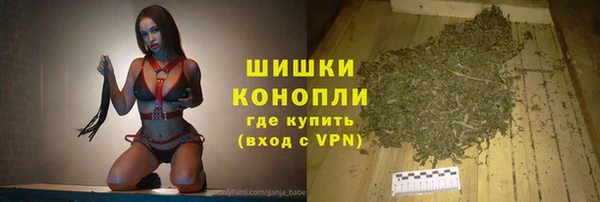молекула духа Покровск