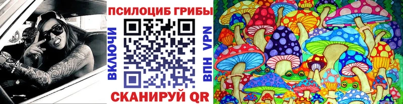 блэк спрут ТОР  Кизляр  Галлюциногенные грибы Psilocybe 