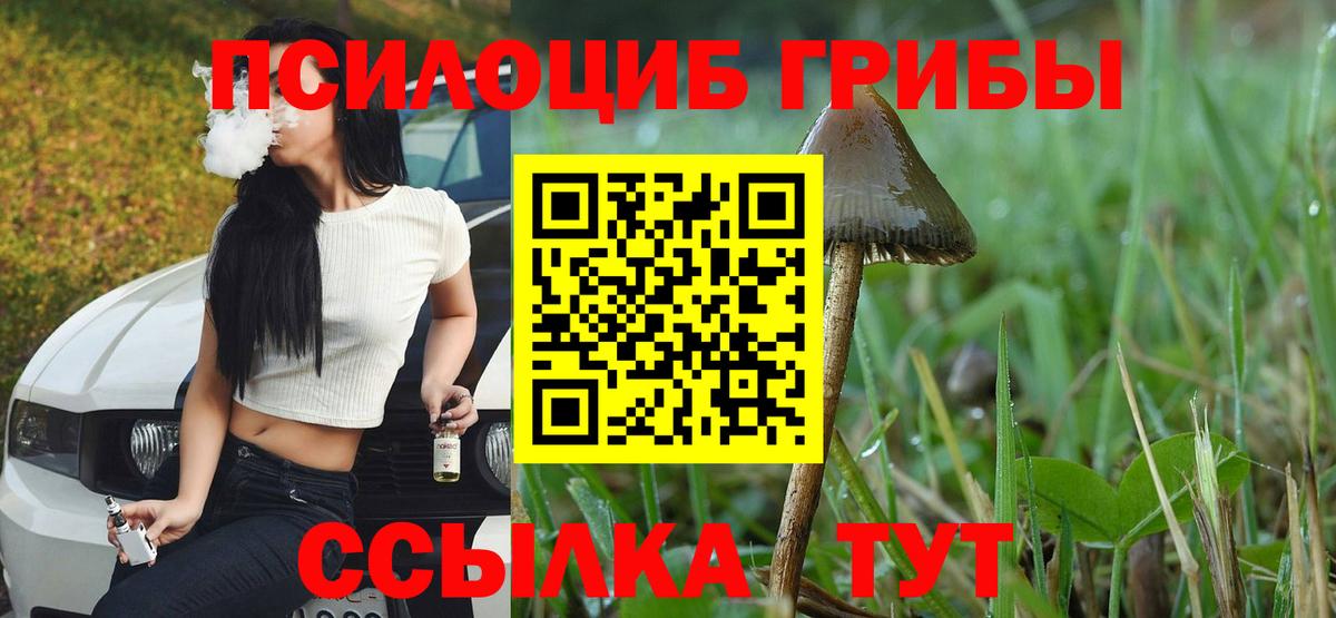 Кизляр  Псилоцибиновые грибы Magic Shrooms  Вход с VPN 